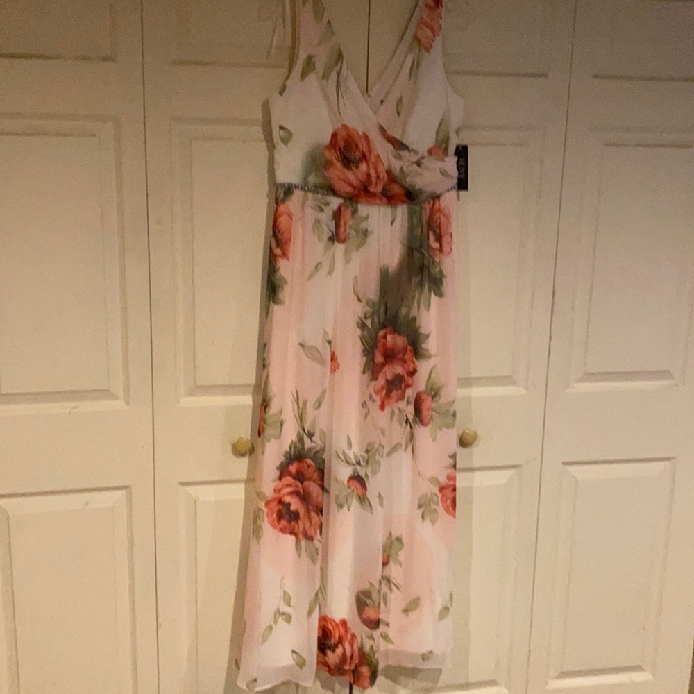 NWT size 10 pink chiffon floral dress